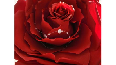 🌹감동주의🌹 자이언트장미 한송이 득템 후기 (할인꿀팁)