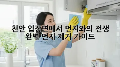 천안 입장면에서 먼지와의 전쟁! 완벽 먼지 제거 가이드