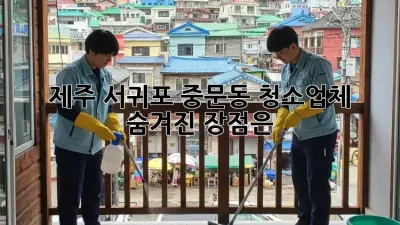 제주 서귀포 중문동 청소업체, 숨겨진 장점은?
