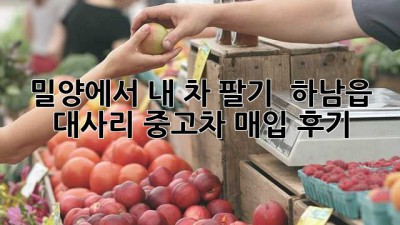 밀양에서 내 차 팔기 🚗💨 하남읍 대사리 중고차 매입 후기